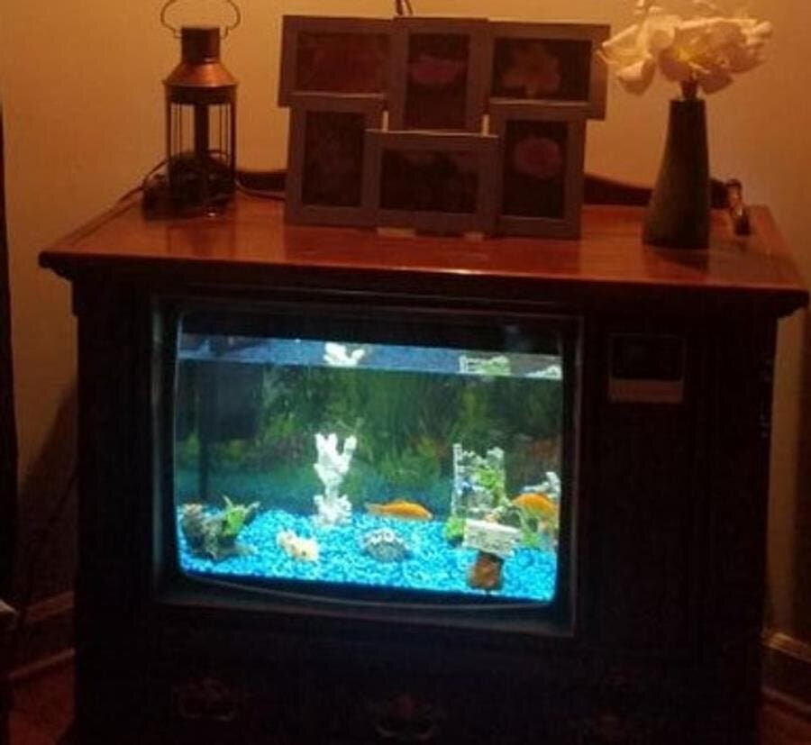 tv aquarium