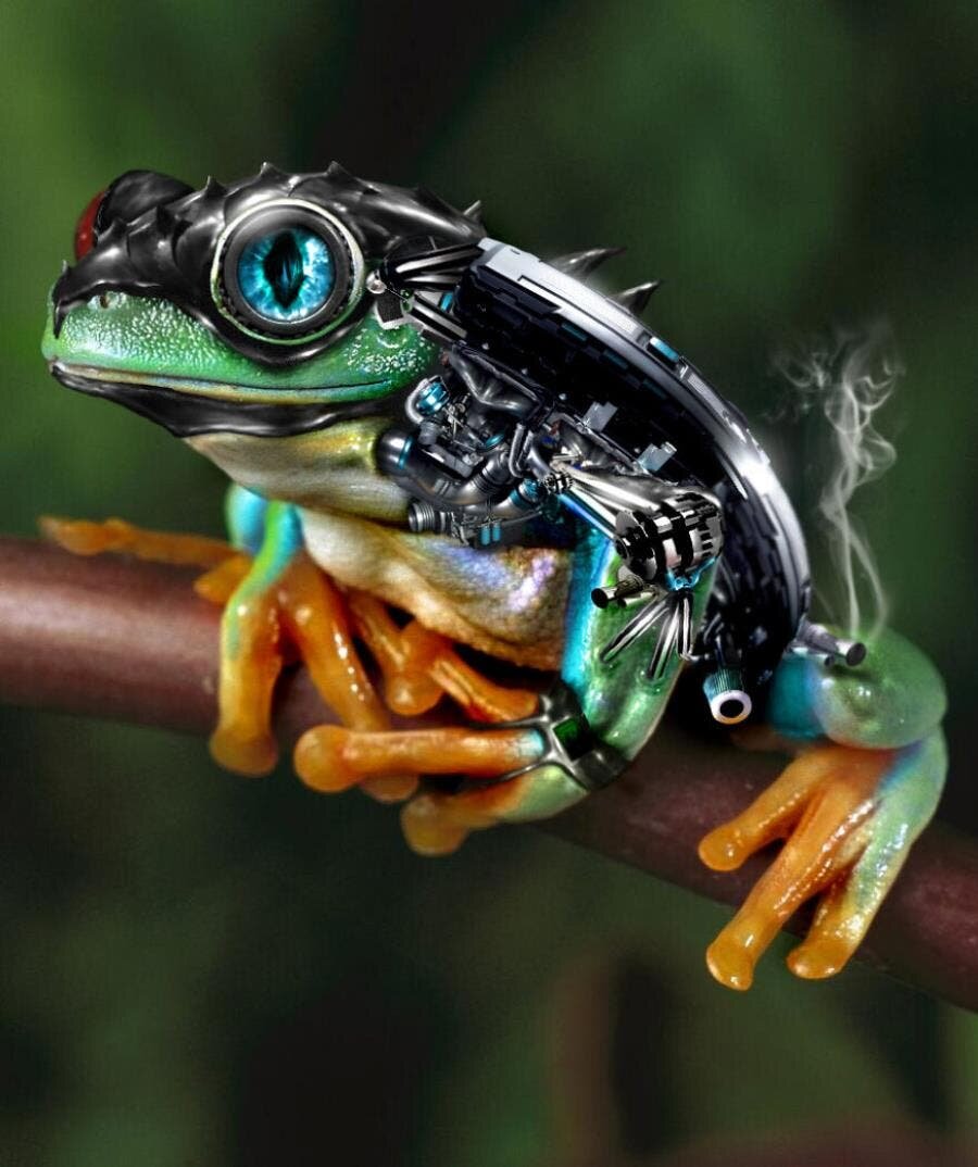 grenouille robot fumée couleurs