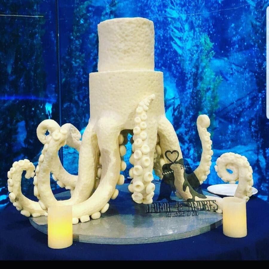 gâteau tentacule