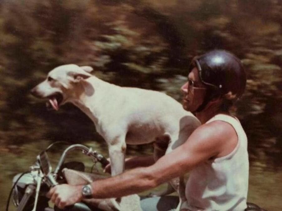 chien moto papa