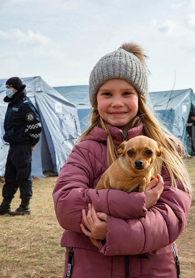 Ukraine Guerre Animaux 