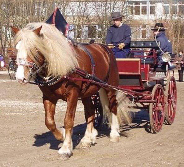 généralement utilisés pour monter à cheval