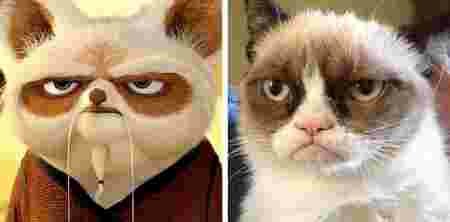 Animaux dessin-animé réalité ressemblances Maître Shifu Grumpy cat