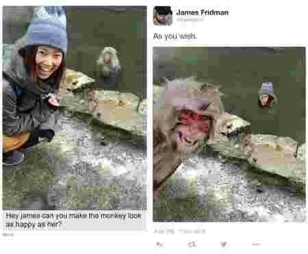 James Fridman Photoshop humour singe