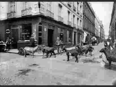 photo, paris, vendeur, lait, chevre, 1900 1910