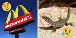 Mcdo : 5 choses bizarres retrouvées dans la nourriture