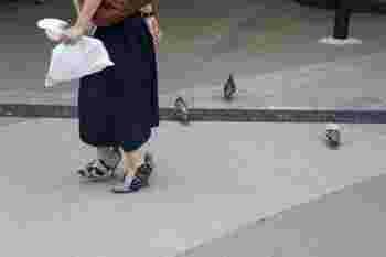 design chaussures pigeons