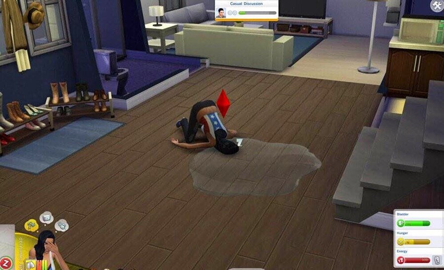 sims dort