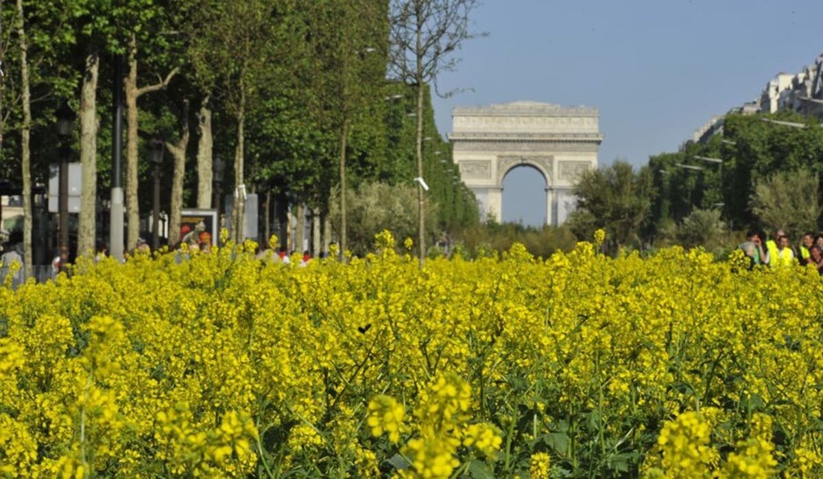 la campagne à Paris