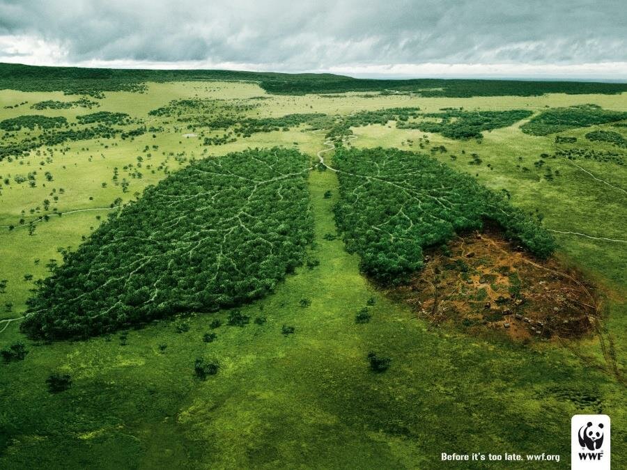 deux forêts en forme de poumons