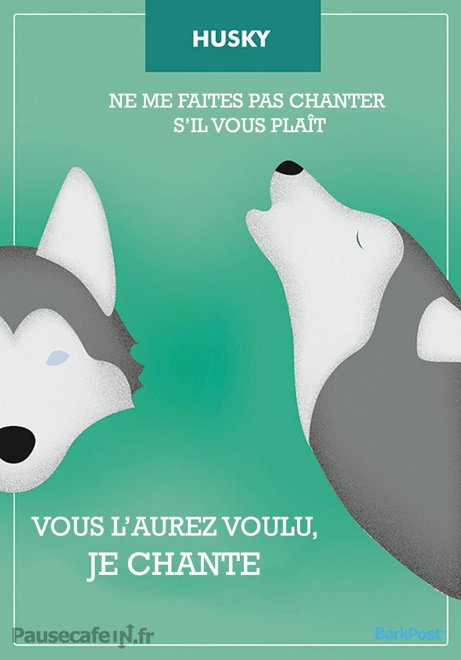 dessin de deux husky