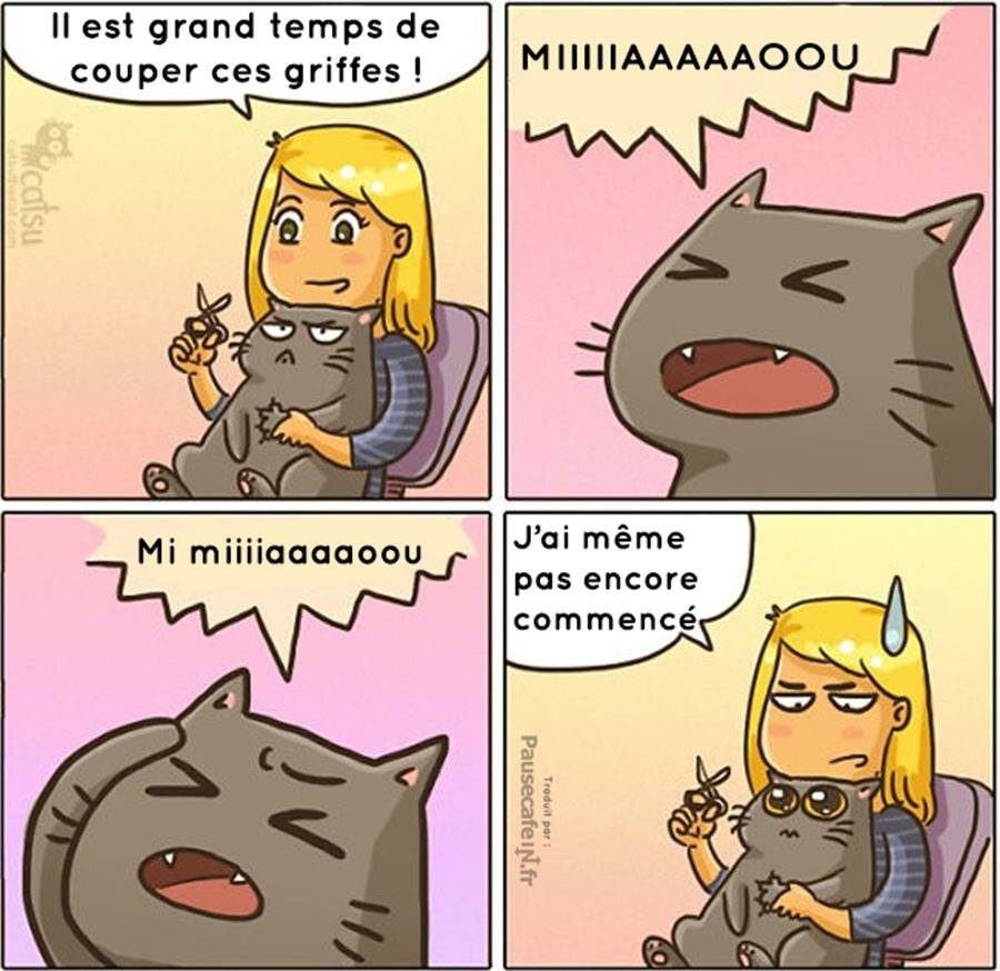 Il sait faire les yeux du chat poté 