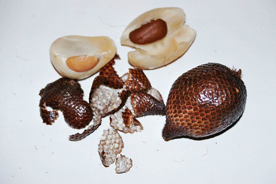 salak, fruit