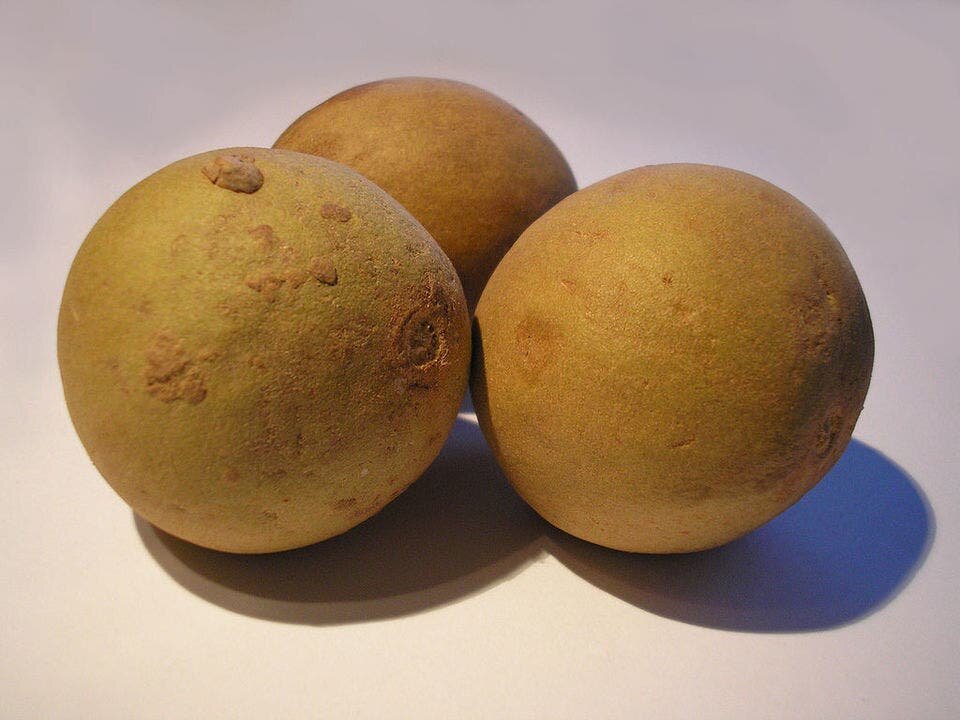 sapotille, fruit