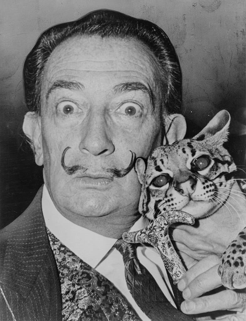 salvador, dali, portrait, chat, noir, blanc