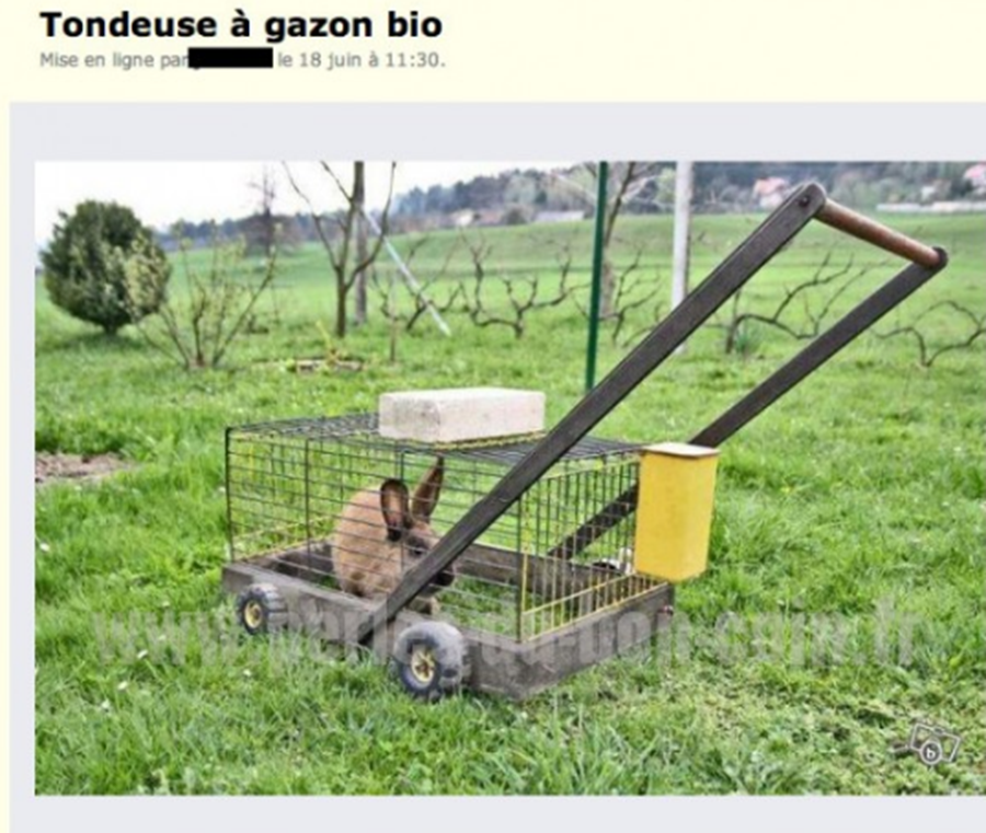 lapin, tondeuse, invention