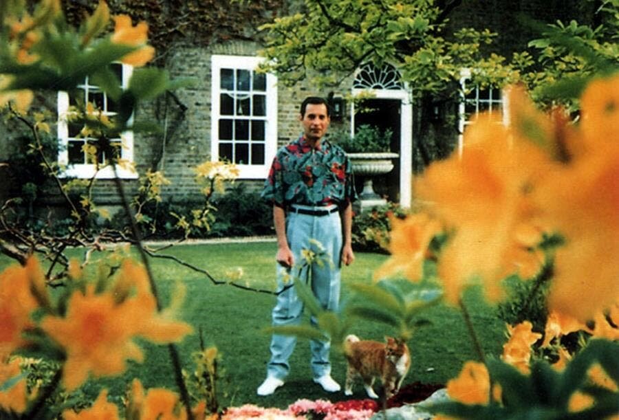 freddie mercury, dernière, photo