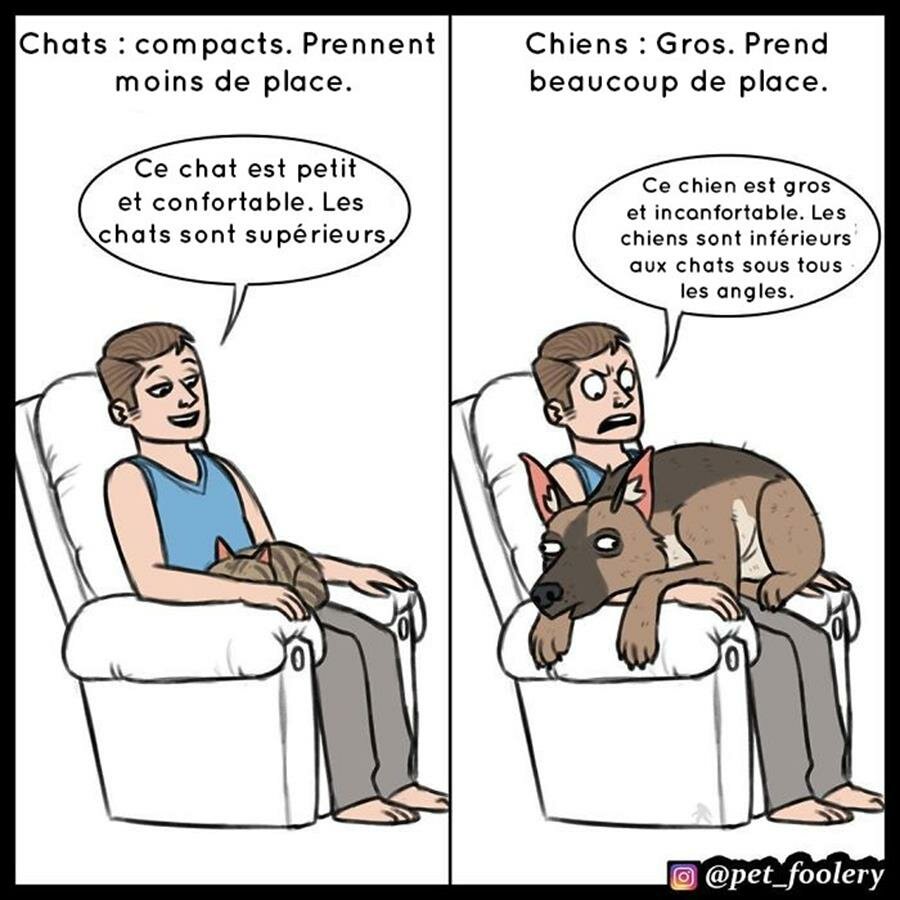 pet foolery, bd, chats, chiens, supÃ©rieurs