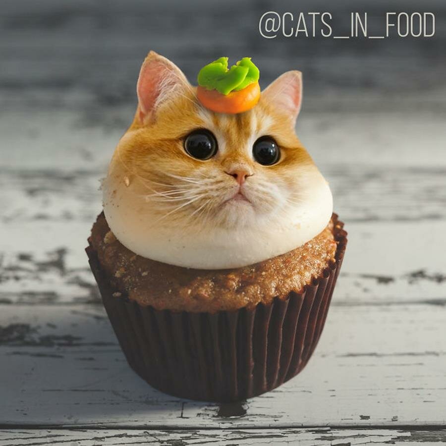 cupcake, chat, crème