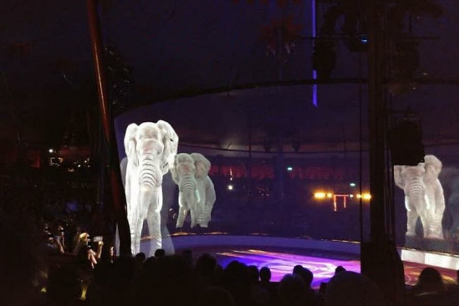 éléphants, hologrammes, cirque