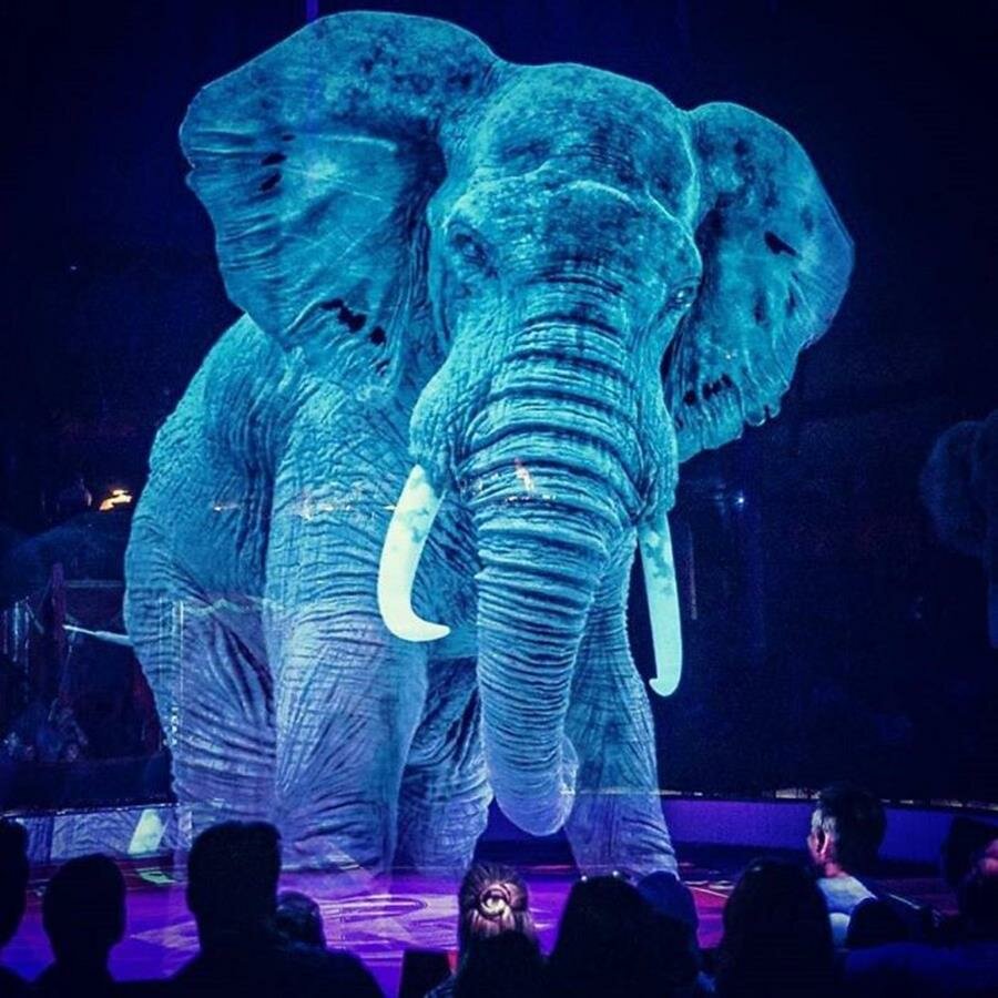 éléphant, hologramme, cirque