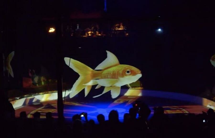 poisson, hologramme, cirque