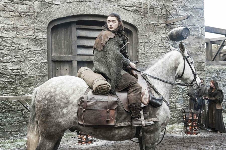 arya stark, cheval