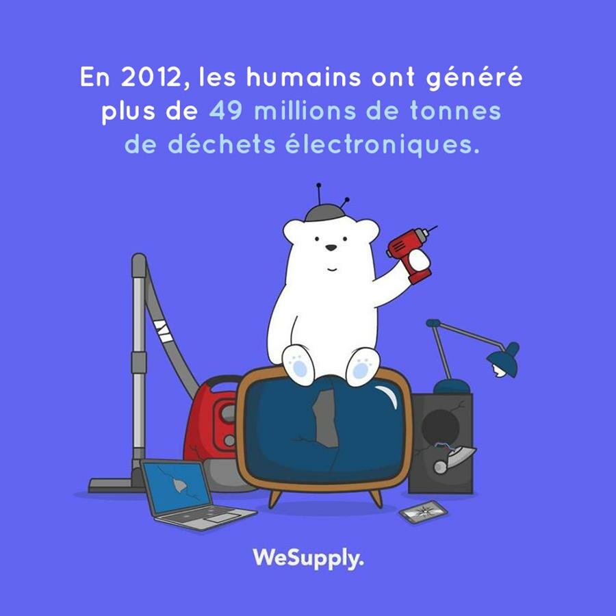 illustration, WeSupply, ours, problèmes environnementaux