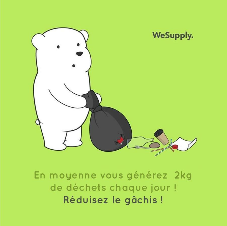 illustration, WeSupply, ours, problèmes environnementaux