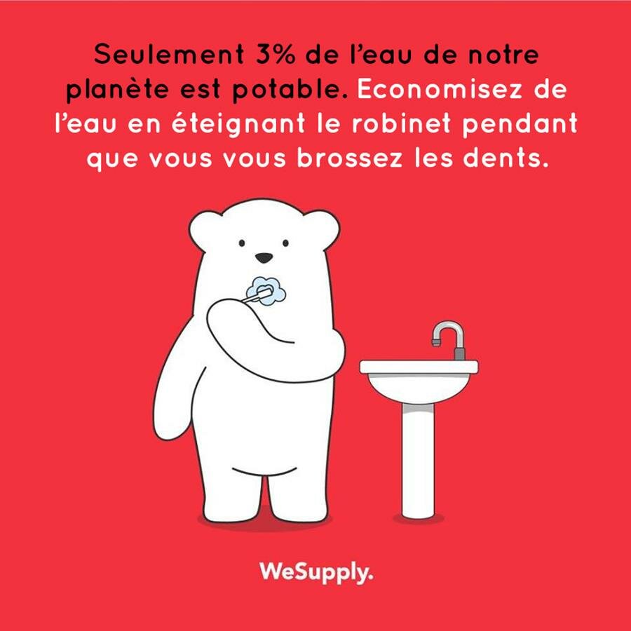 illustration, WeSupply, ours, problèmes environnementaux