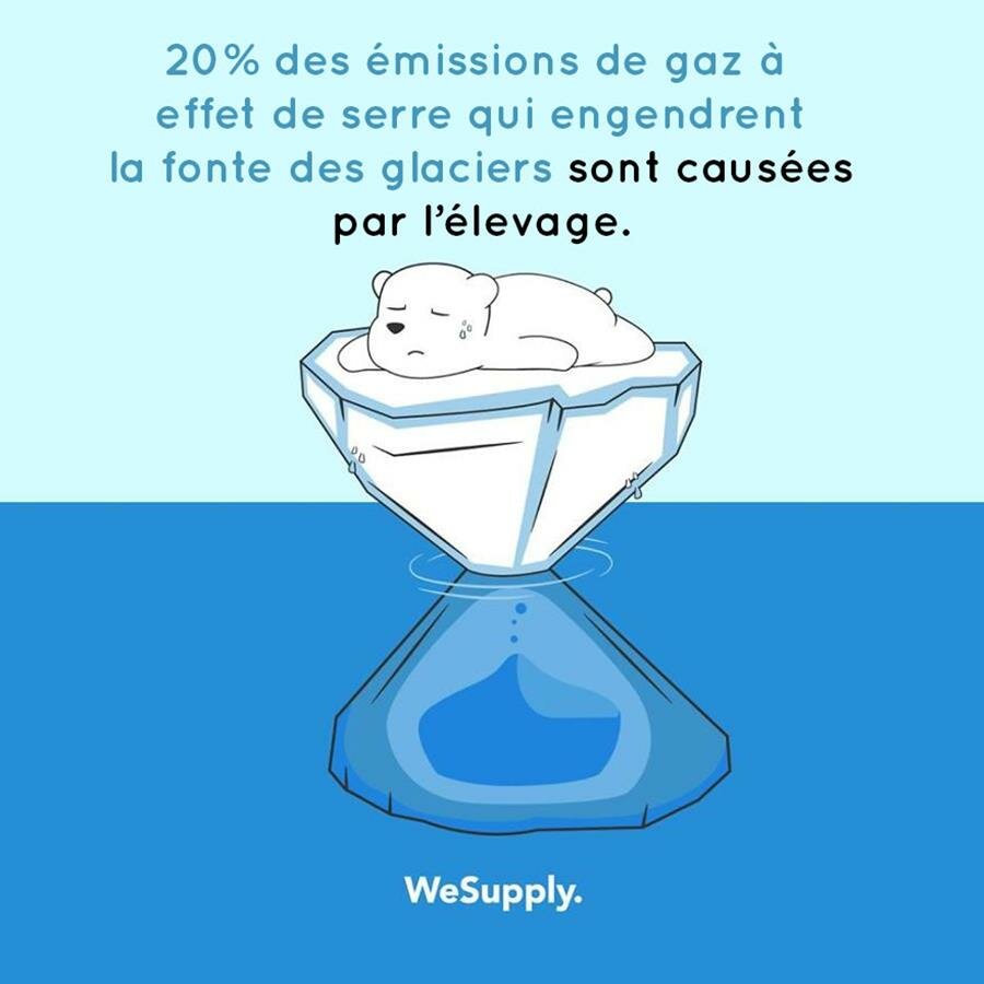 illustration, WeSupply, ours, problèmes environnementaux