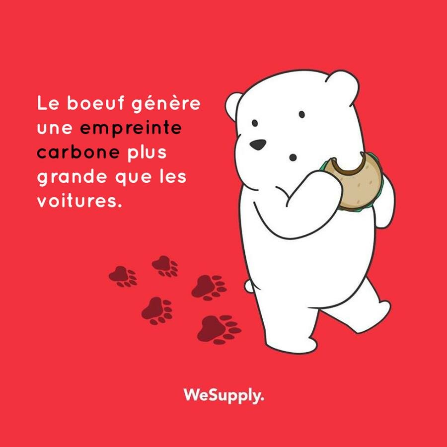 illustration, WeSupply, ours, problèmes environnementaux