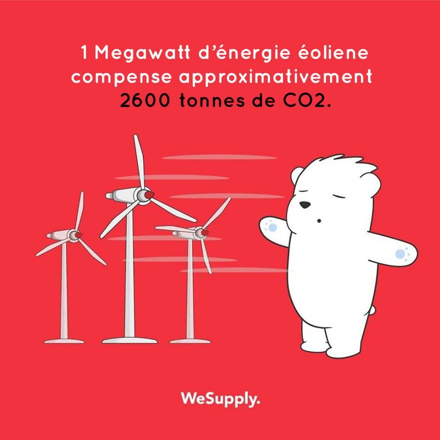 illustration, WeSupply, ours, problèmes environnementaux