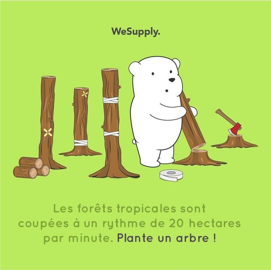 illustration, WeSupply, ours, problèmes environnementaux