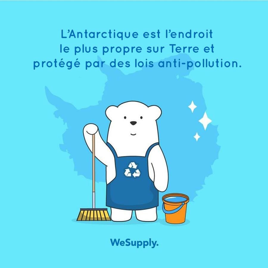 illustration, WeSupply, ours, problèmes environnementaux