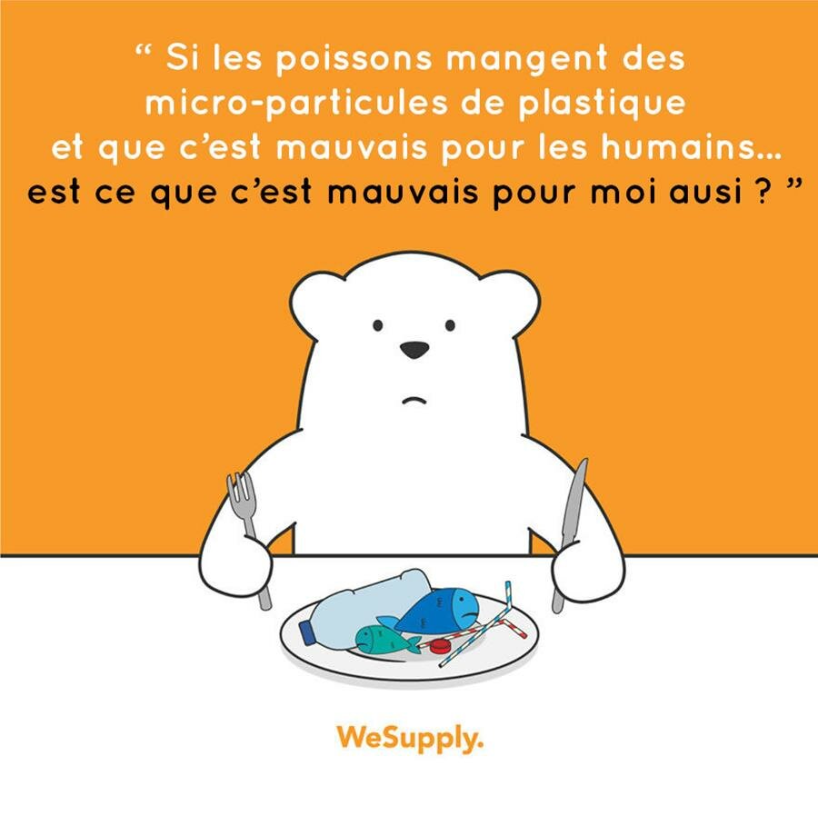 illustration, WeSupply, ours, problèmes environnementaux