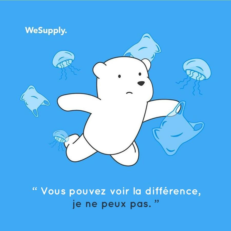 illustration, WeSupply, ours, problèmes environnementaux