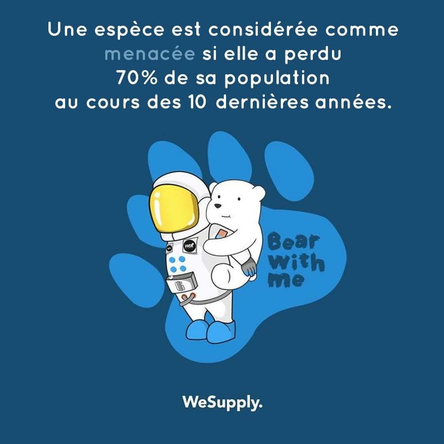 illustration, WeSupply, ours, problèmes environnementaux