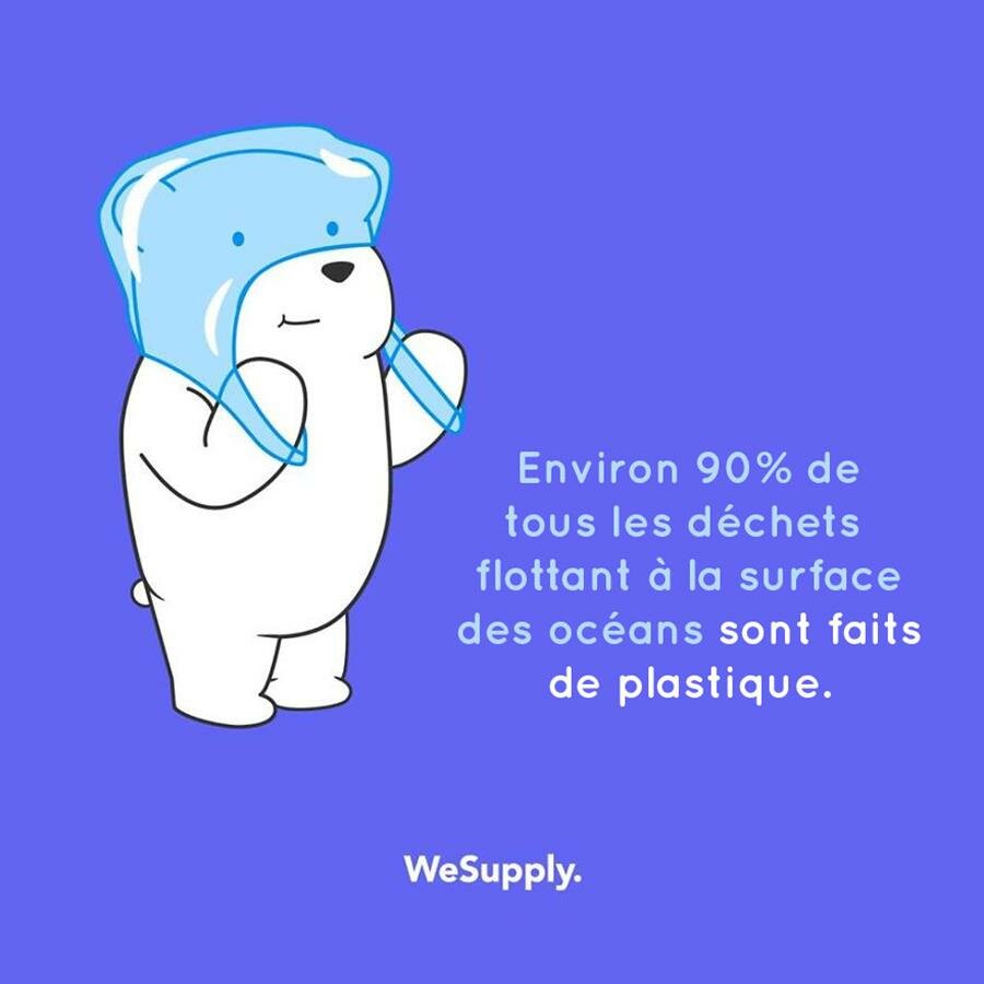 illustration, WeSupply, ours, problèmes environnementaux