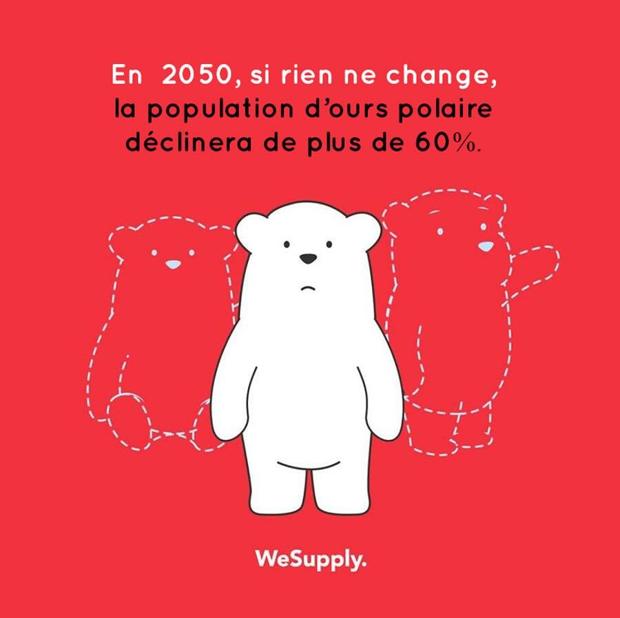 illustration, WeSupply, ours, problèmes environnementaux