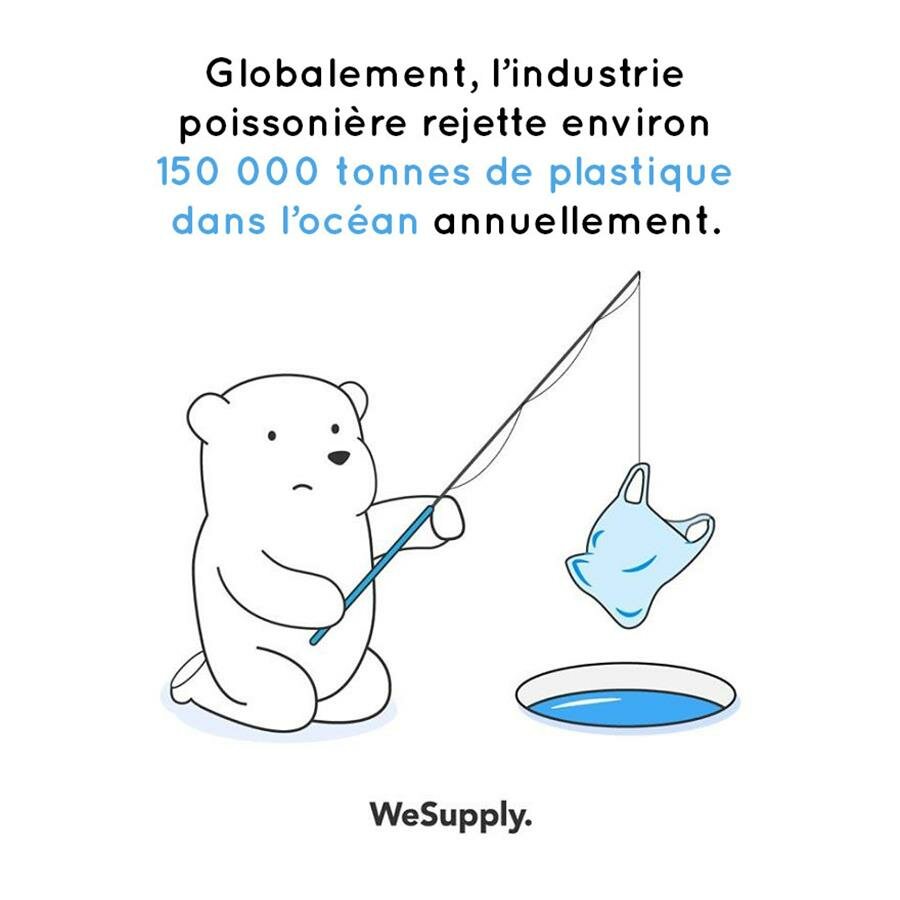 illustration, WeSupply, ours, problèmes environnementaux