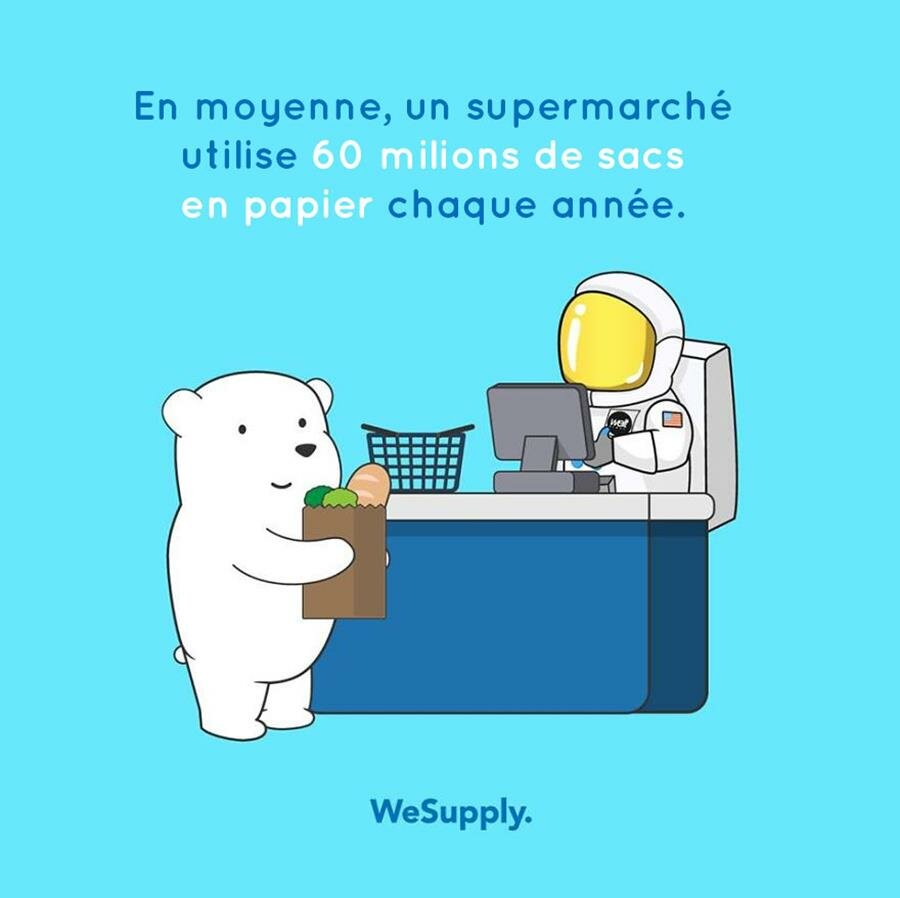 illustration, WeSupply, ours, problèmes environnementaux