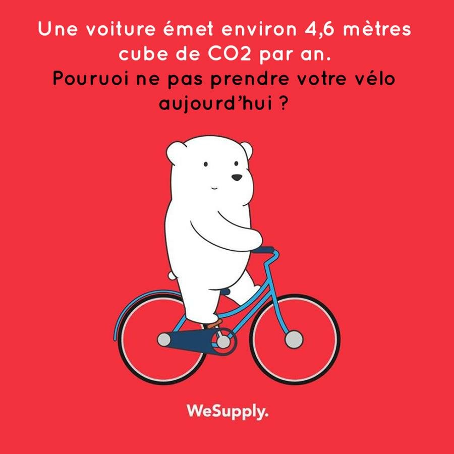 illustration, WeSupply, ours, problèmes environnementaux