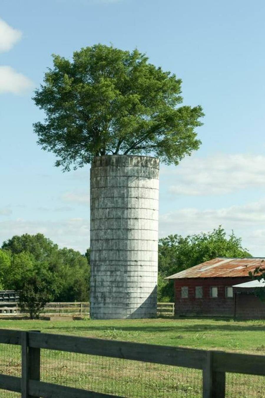 arbre, silo