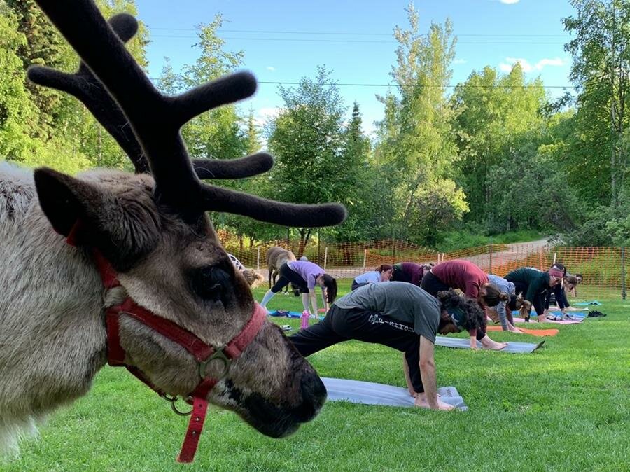 yoga, rennes