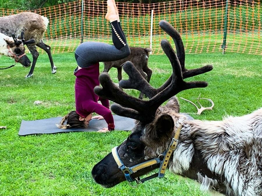 yoga, rennes