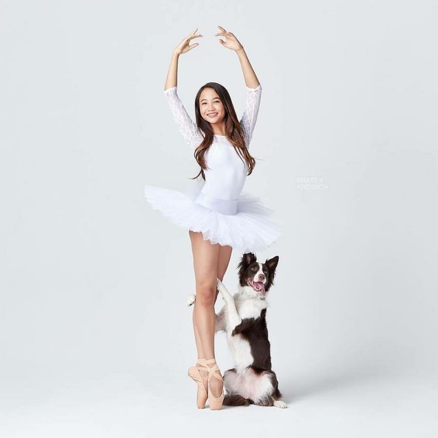 ballerine, chien, danseur, danseuse, classique