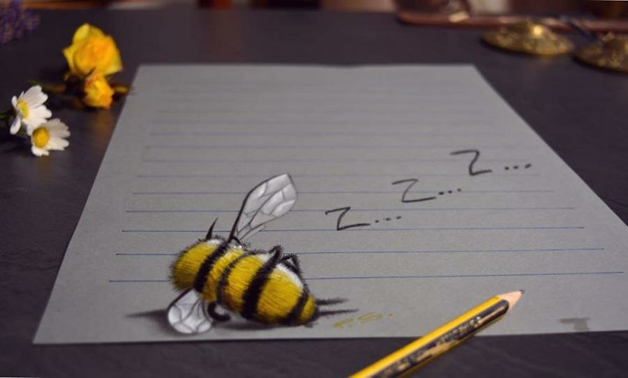 dessin, 3d, réaliste, stefan pabst, abeille