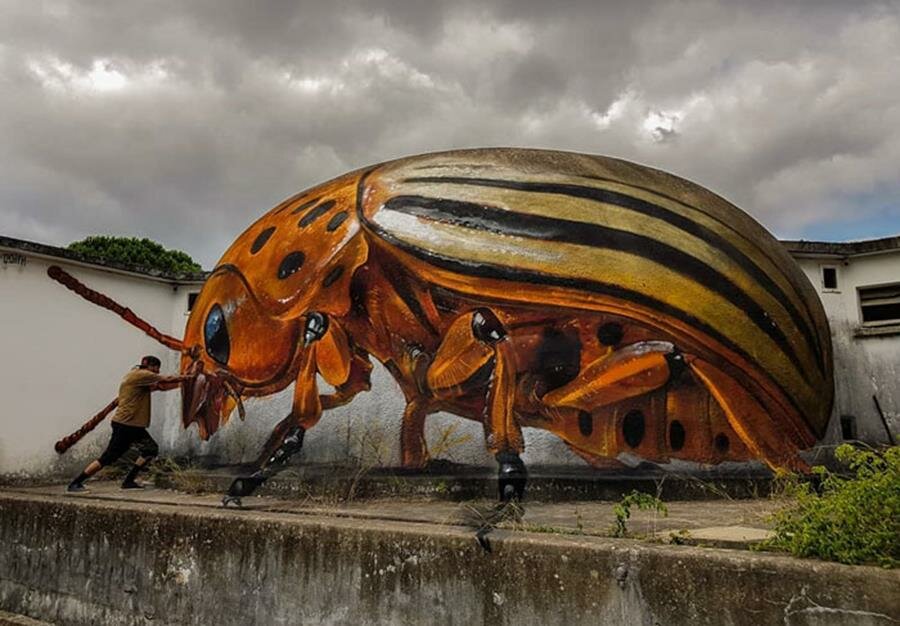 oeuvre, street-art, odeith