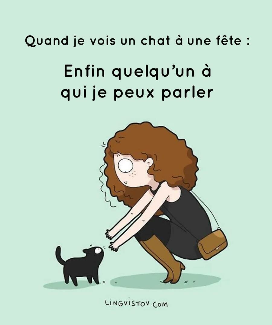 bd, chat, vie quotidienne, lingvistov